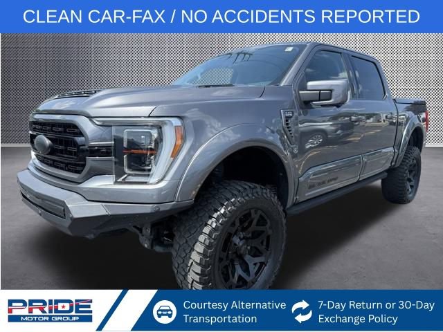 2021 Ford F-150 Lariat's photo