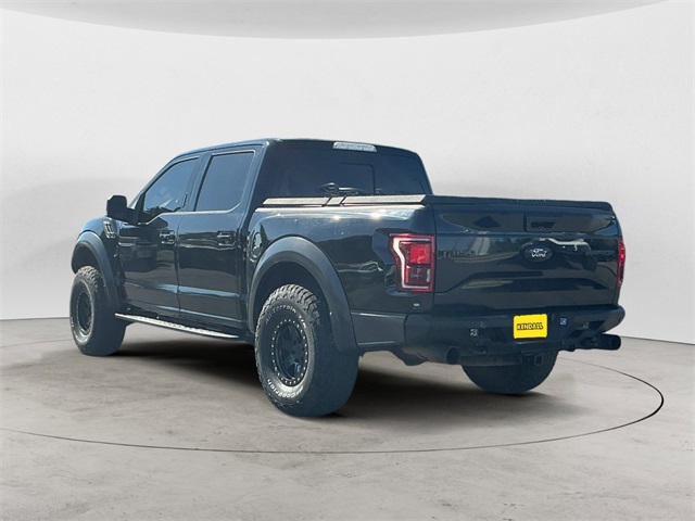 2017 Ford F-150 Raptor photo 3