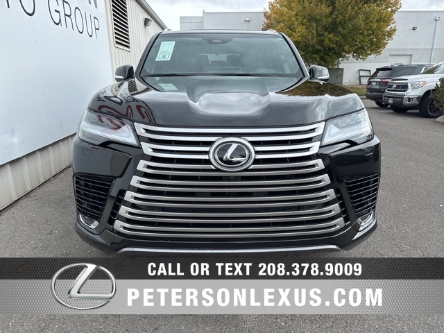 2025 Lexus LX Luxury photo 7