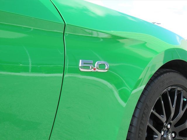 2019 Ford Mustang GT Premium photo 8
