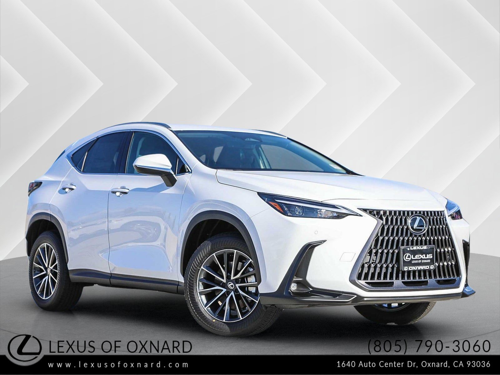 2026 Lexus NX 350's photo