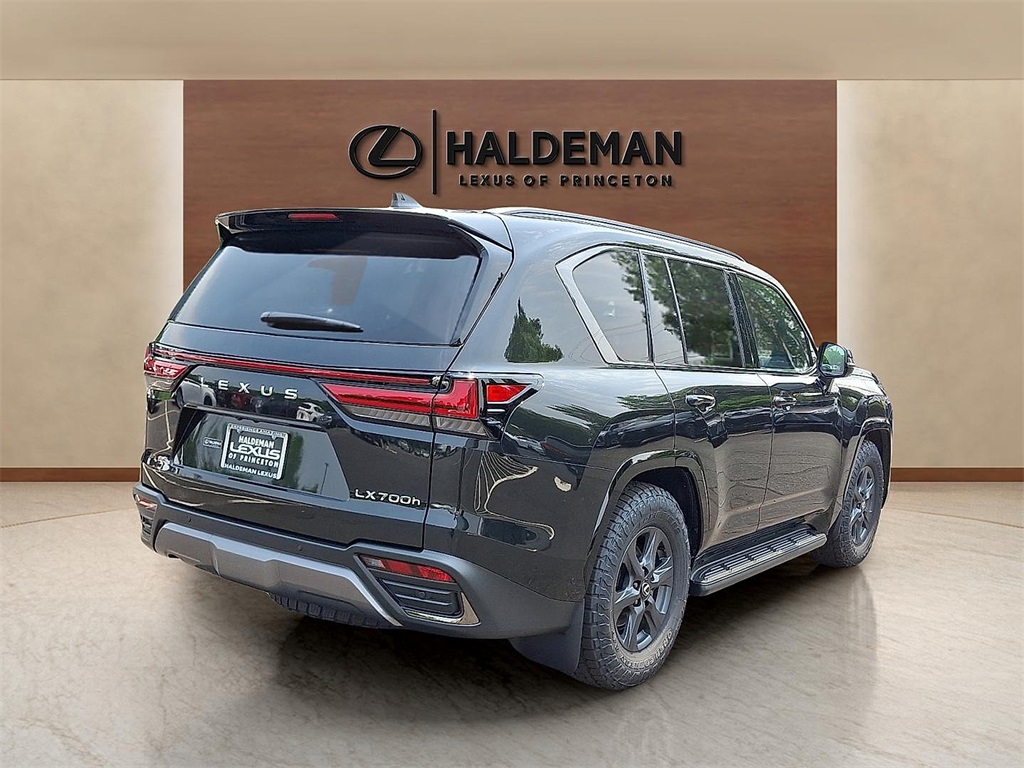 2025 Lexus LX photo 5