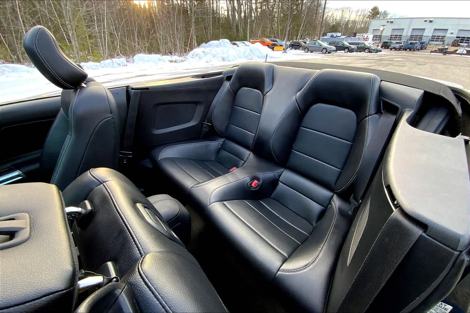 2016 Ford Mustang EcoBoost Premium photo 18