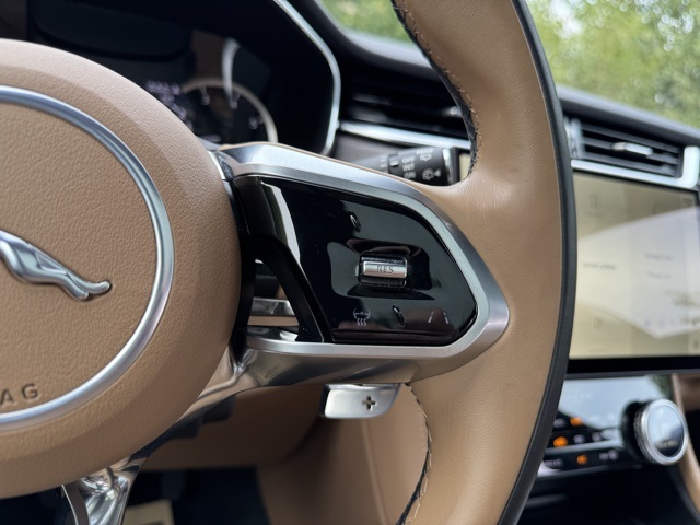 2023 Jaguar F-PACE P250 S photo 26