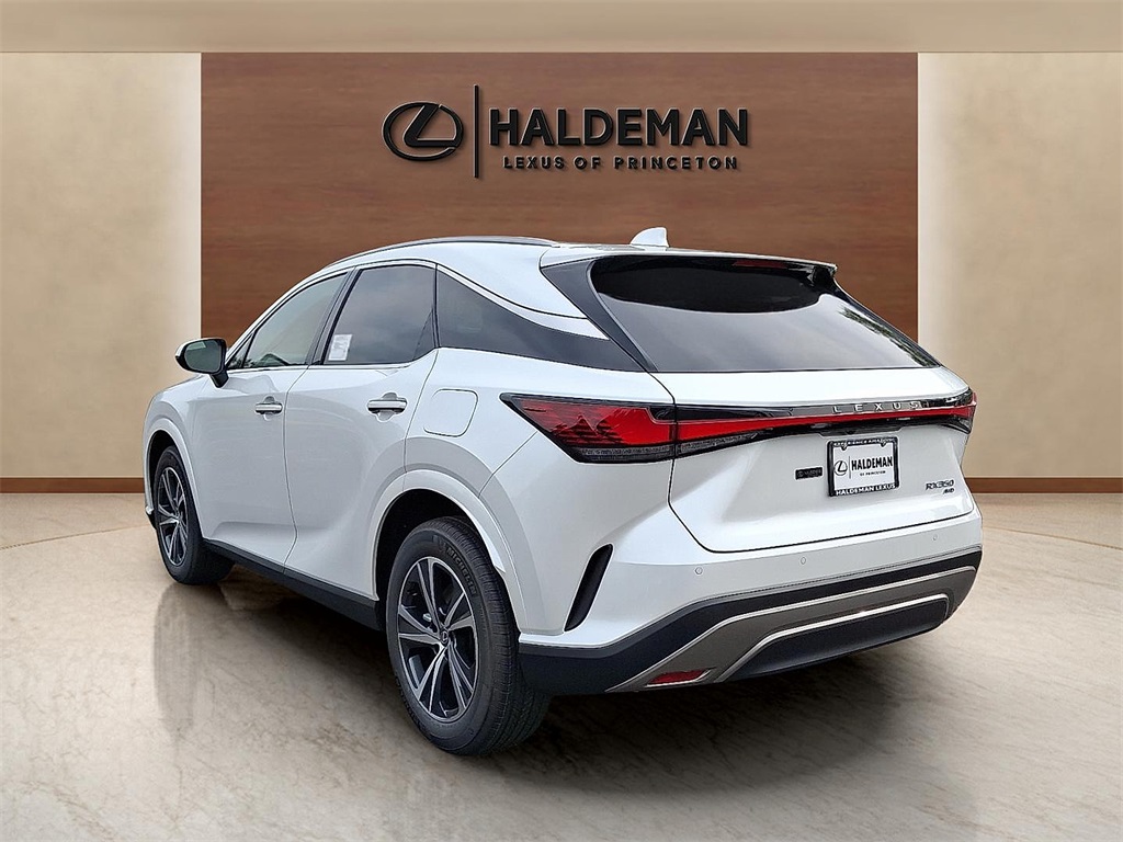 2025 Lexus RX 350 Premium photo 2