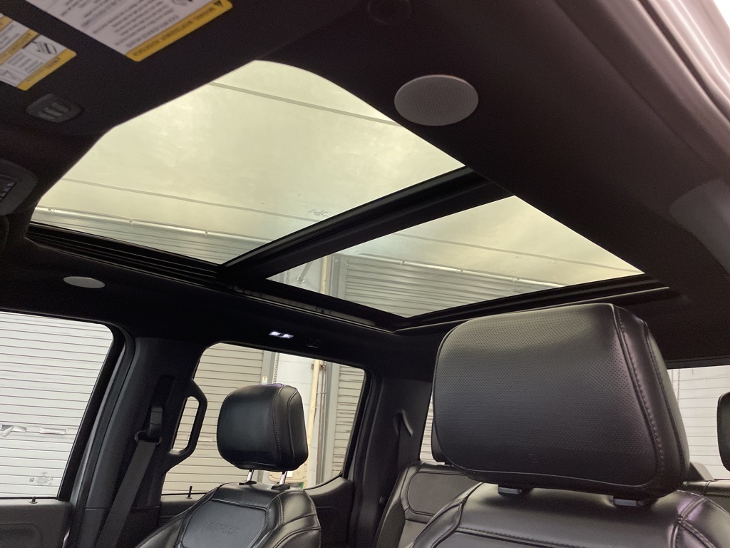 2022 Ford F-150 Raptor photo 18