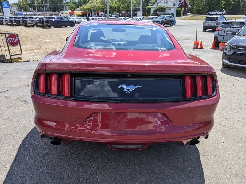 2015 Ford Mustang EcoBoost photo 4