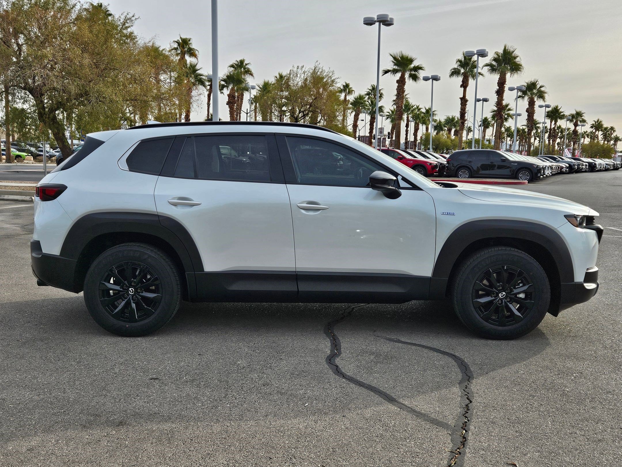 2025 Mazda CX-50 Premium photo 6