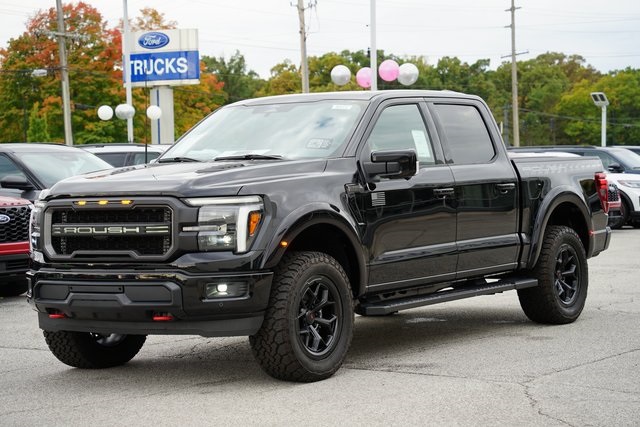 2025 FORD F-150 - Image 33