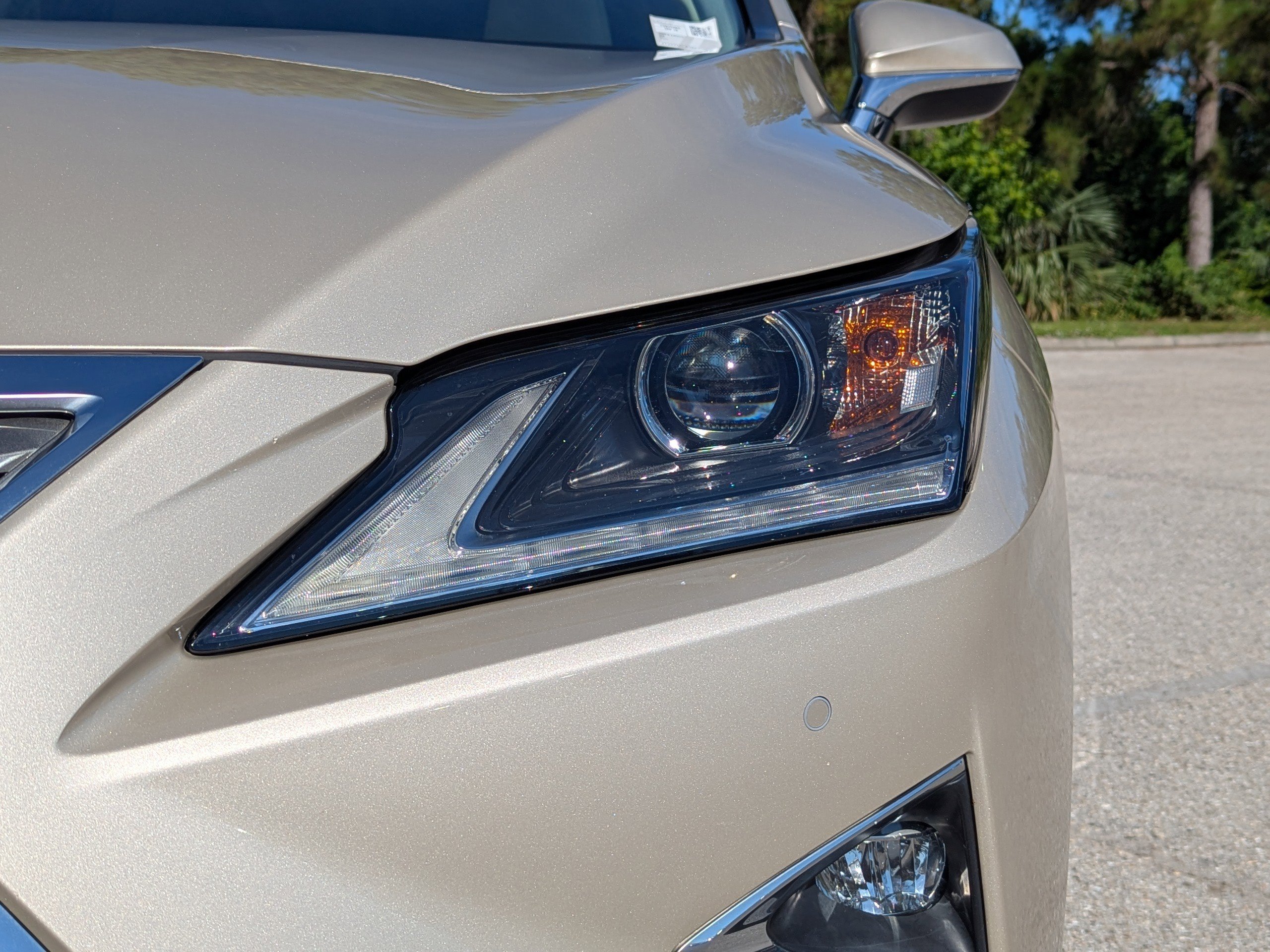 2019 Lexus RX 350 F SPORT photo 9