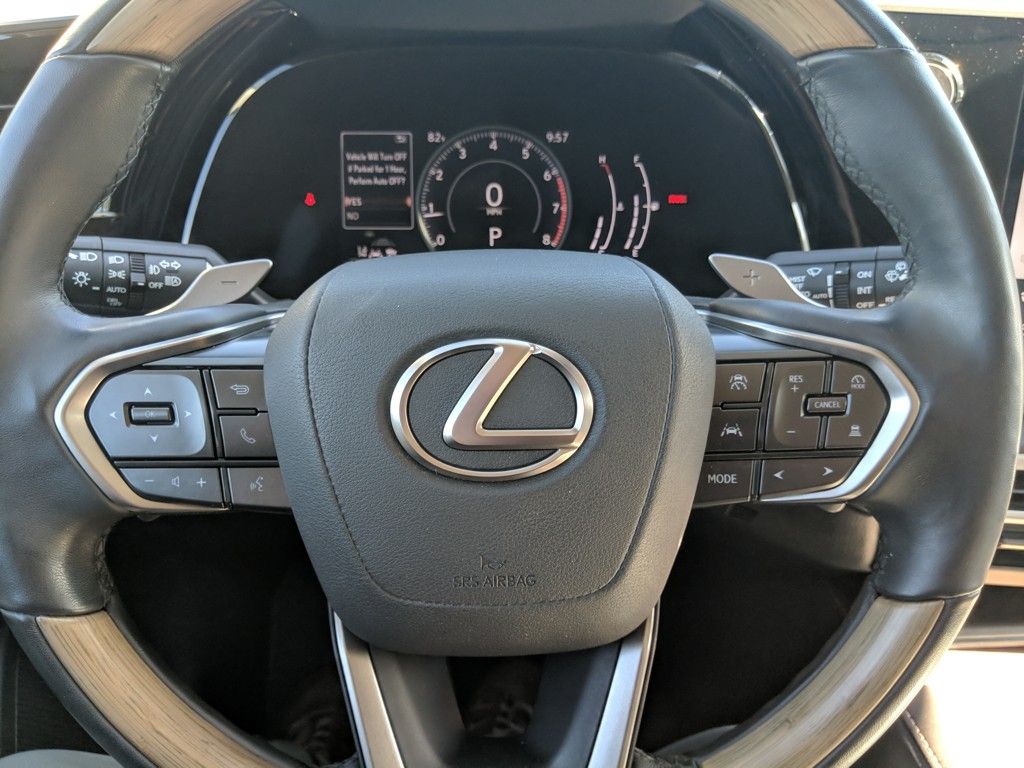 2023 Lexus RX photo 19