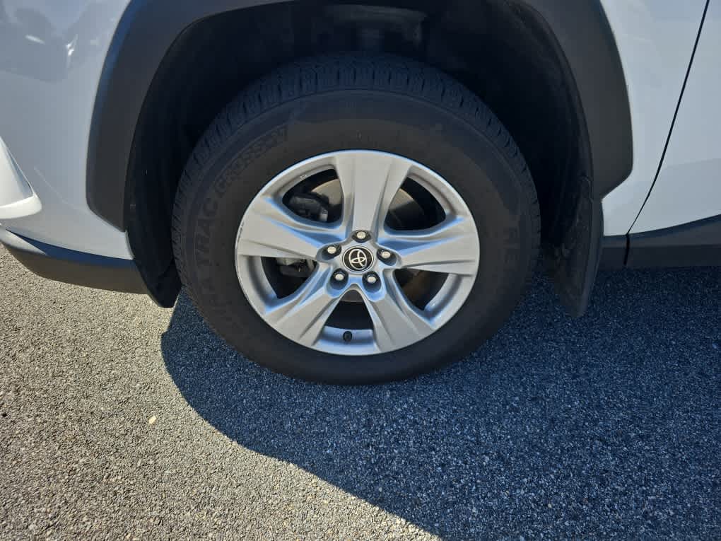 2019 Toyota RAV4 XLE photo 5
