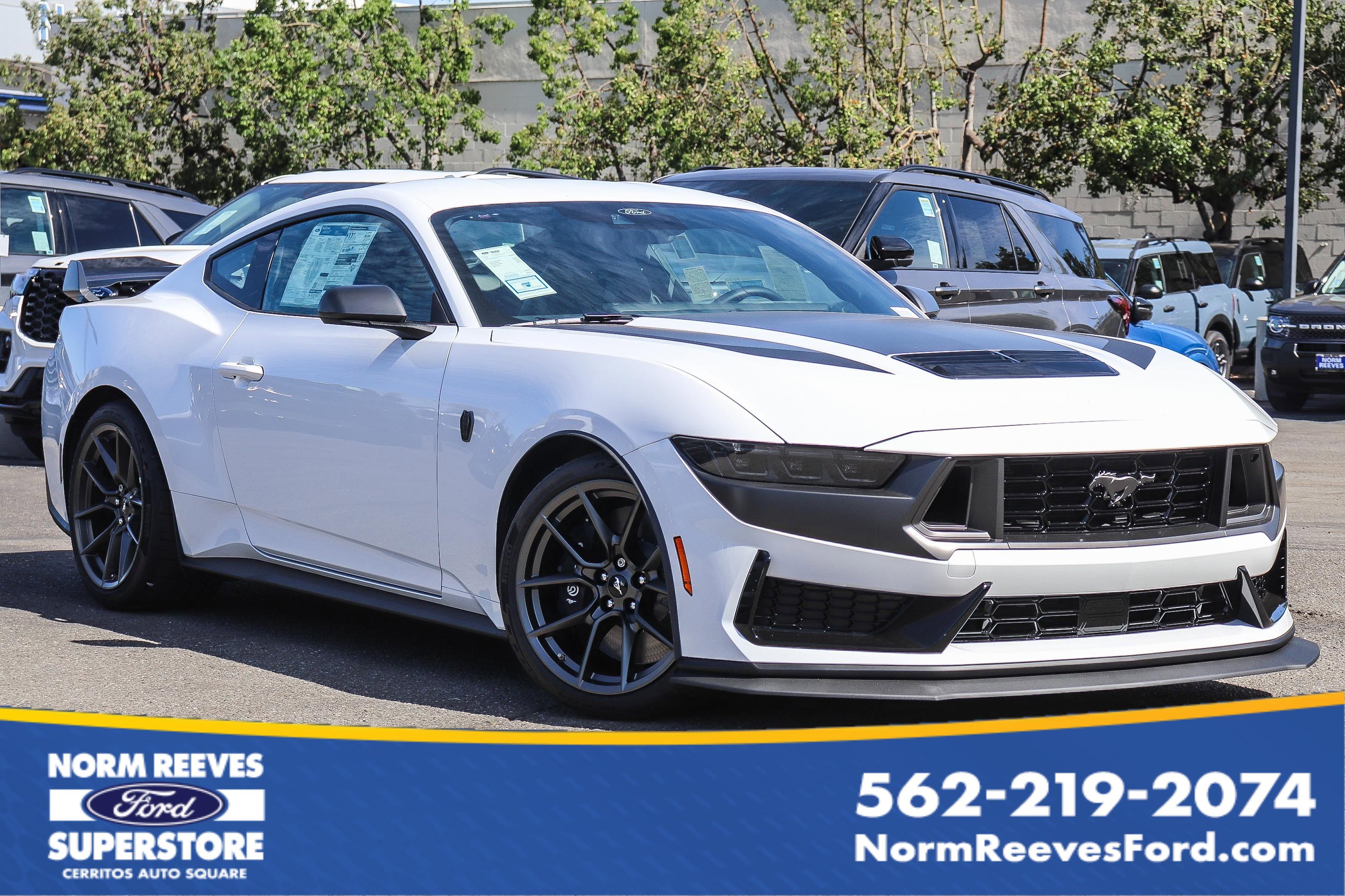 2025 Ford Mustang Dark Horse's photo