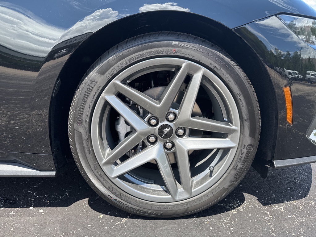 2025 Ford Mustang EcoBoost Premium photo 14