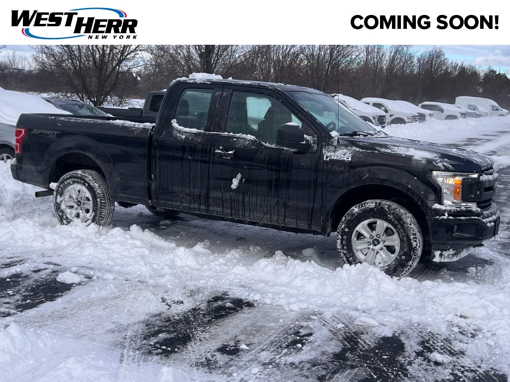 2019 Ford F-150 XL's photo