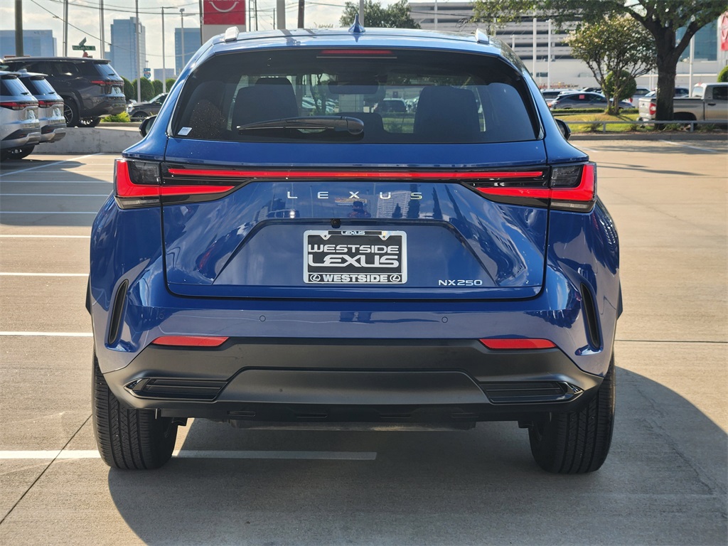 2025 Lexus NX 250 Premium photo 6