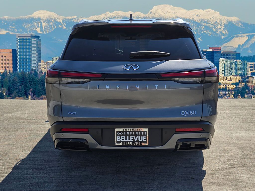 2024 Infiniti QX60 Luxe photo 2