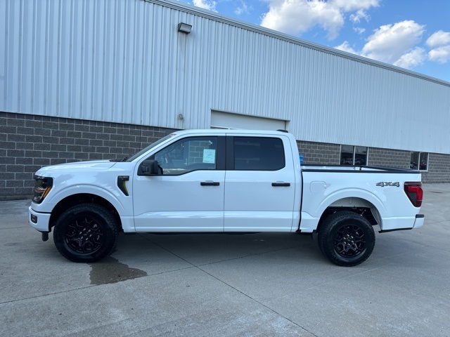2025 Ford F-150 STX photo 8