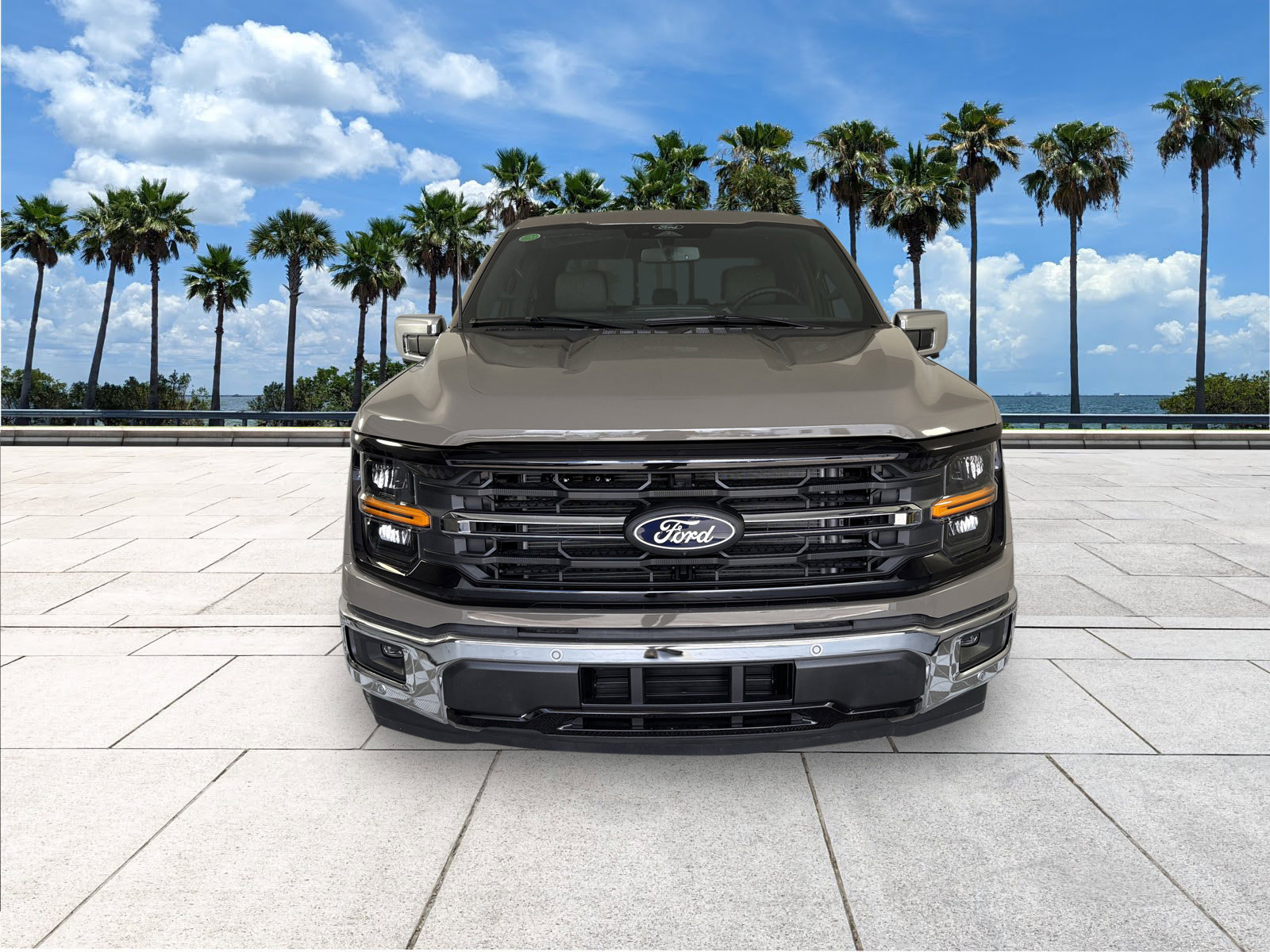 2025 Ford F-150 XLT photo 3