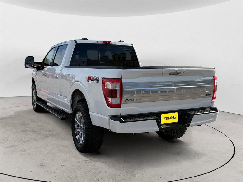2021 Ford F-150 Platinum photo 3