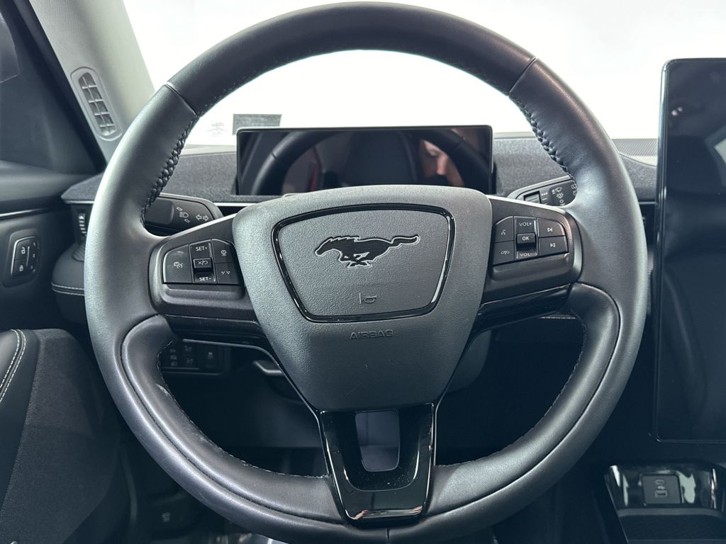 2021 Ford Mustang Mach-E Premium photo 25