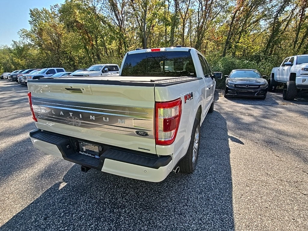 2023 Ford F-150 Platinum photo 7