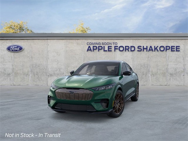 2025 Ford Mustang Mach-E GT photo 3