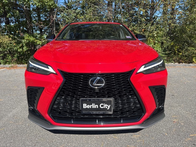 2024 Lexus NX 350 F SPORT Handling photo 8