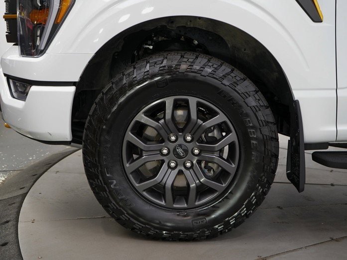 2023 Ford F-150 Tremor photo 26