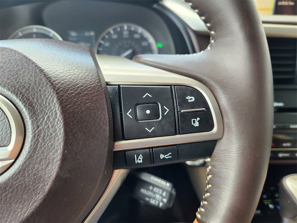 2019 Lexus RX 350L photo 25