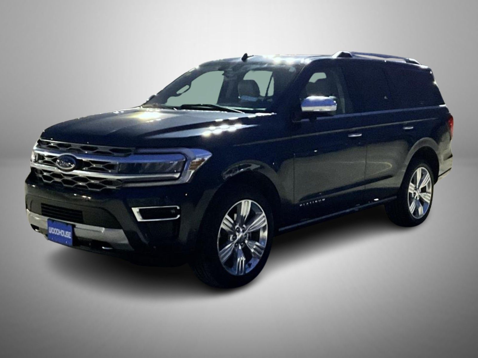 2024 Ford Expedition Platinum's photo