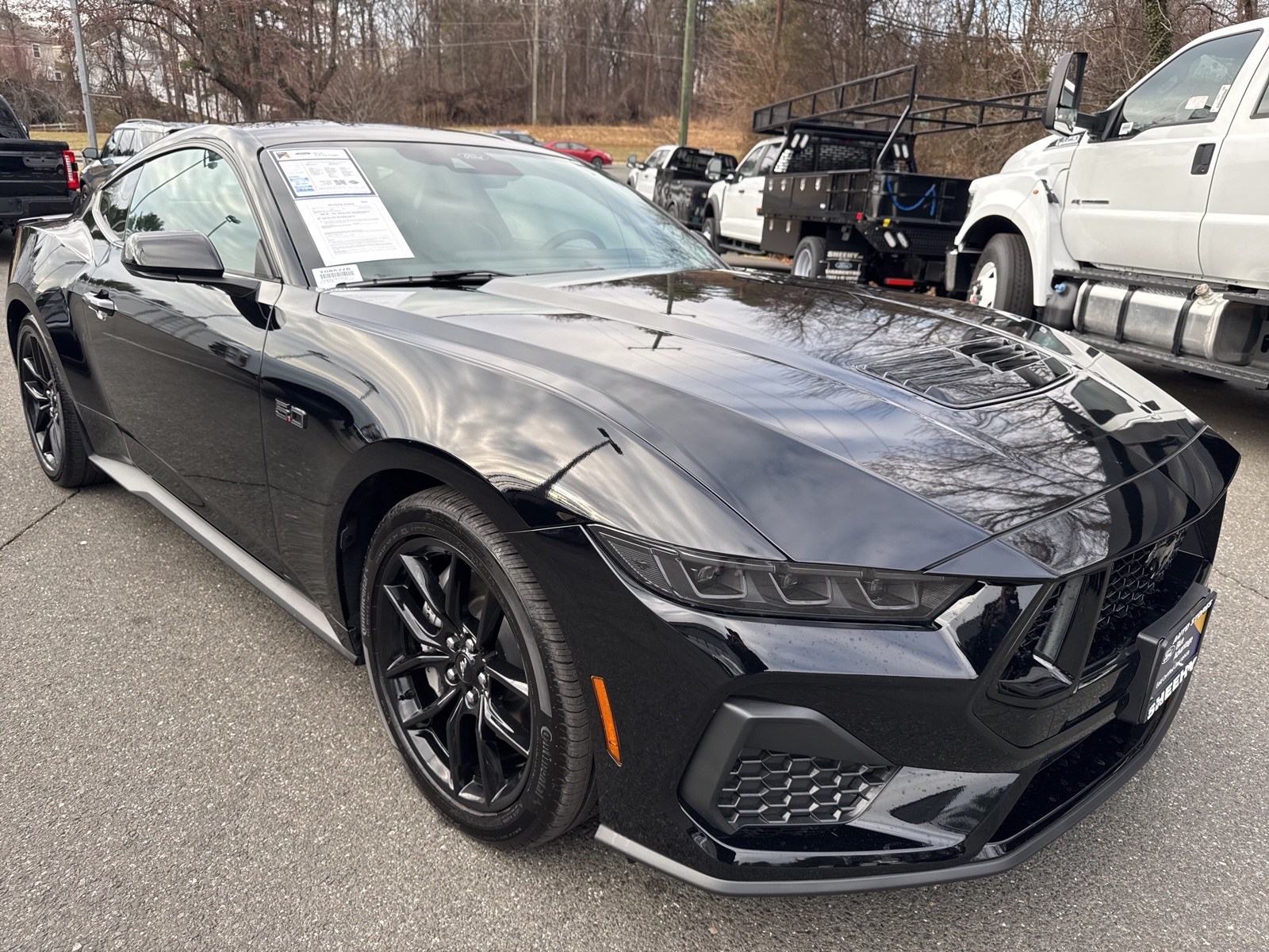 2025 Ford Mustang GT Premium's photo