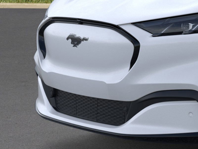 2025 Ford Mustang Mach-E Premium photo 15