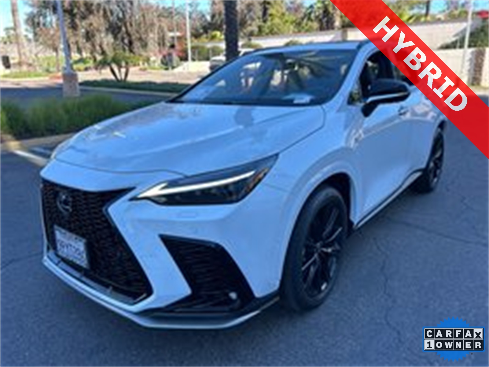 2025 Lexus NX PHEV 450h+'s photo