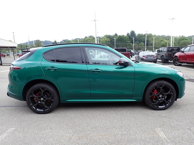 2025 Alfa Romeo Stelvio Tributo Italiano photo 7