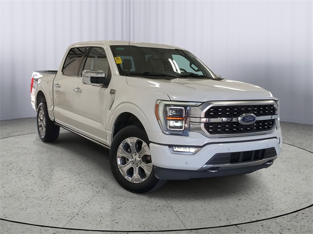 2023 Ford F-150 Platinum's photo