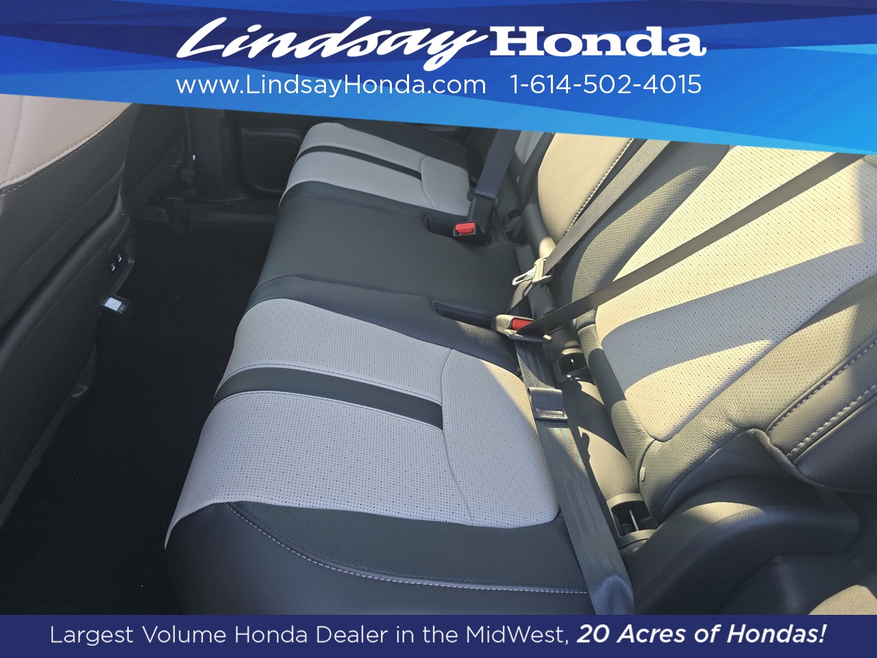 2026 Honda Passport TrailSport Elite photo 7