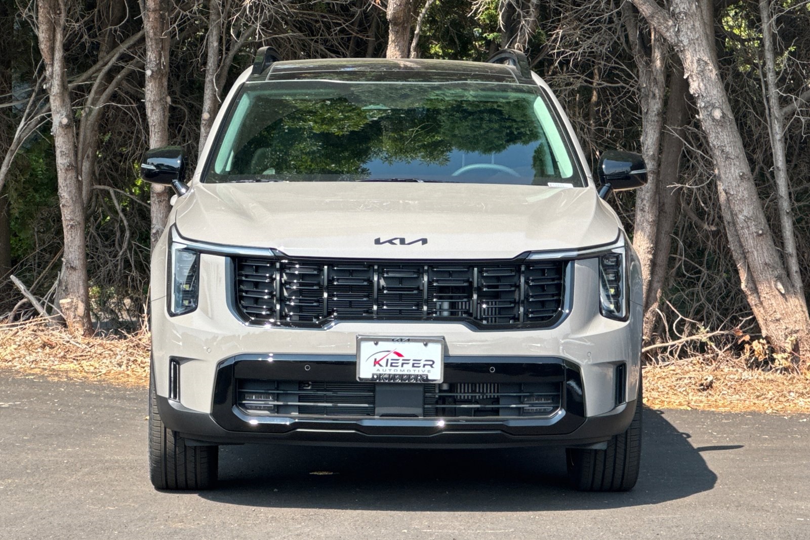 2026 Kia Sorento X-Line EX photo 5