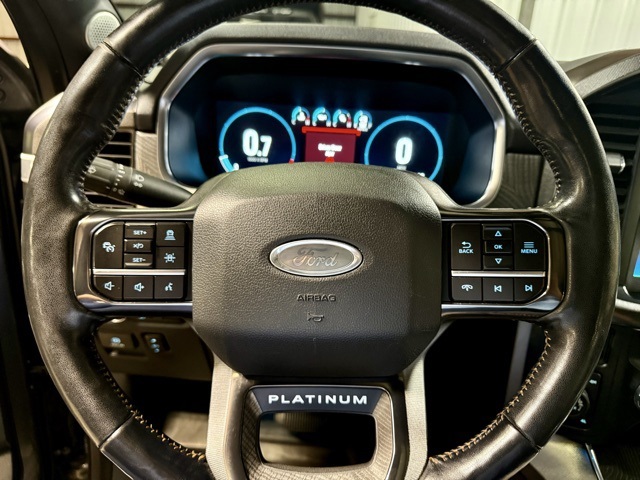 2022 Ford F-150 Platinum photo 24