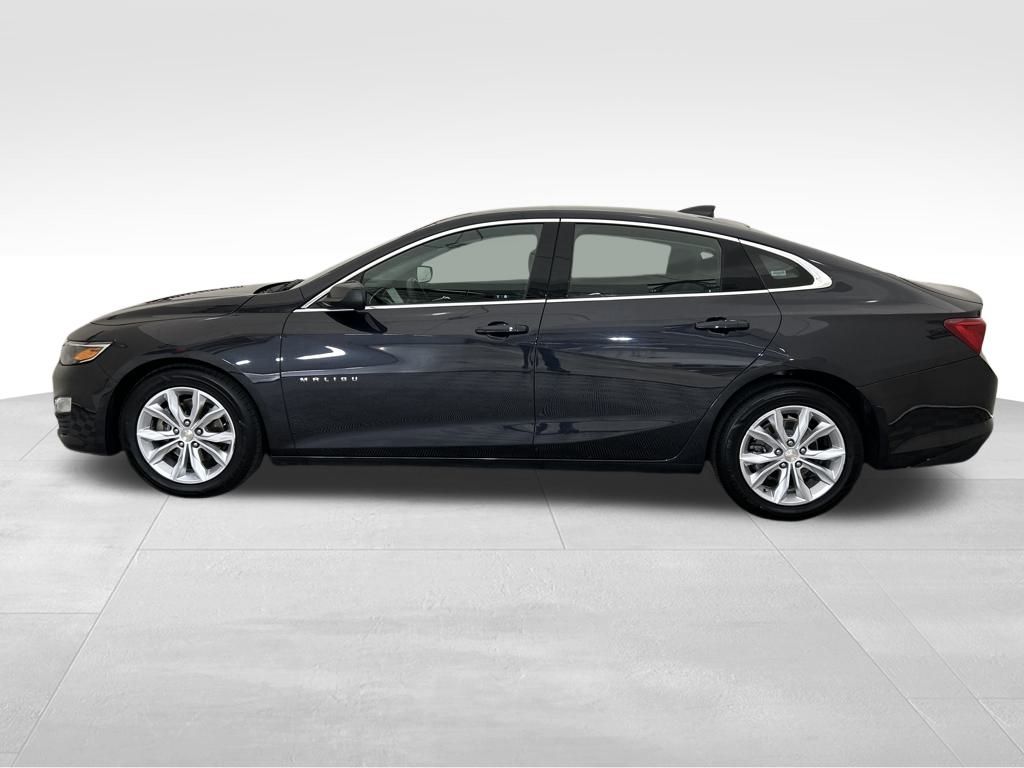 2023 Chevrolet Malibu 1LT photo 7