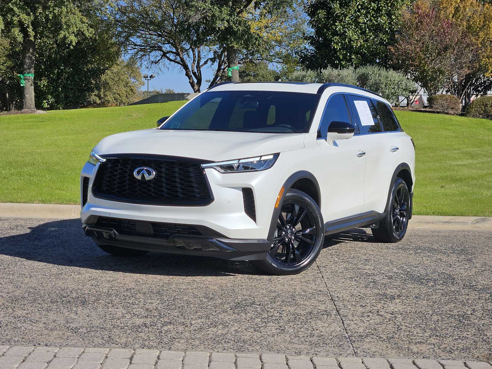 2025 INFINITI QX60 LUXE's photo