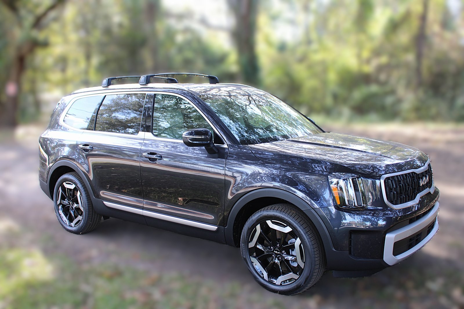 2025 Kia Telluride EX photo 3