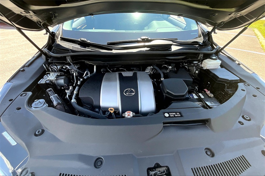 2022 Lexus RX 350 photo 30
