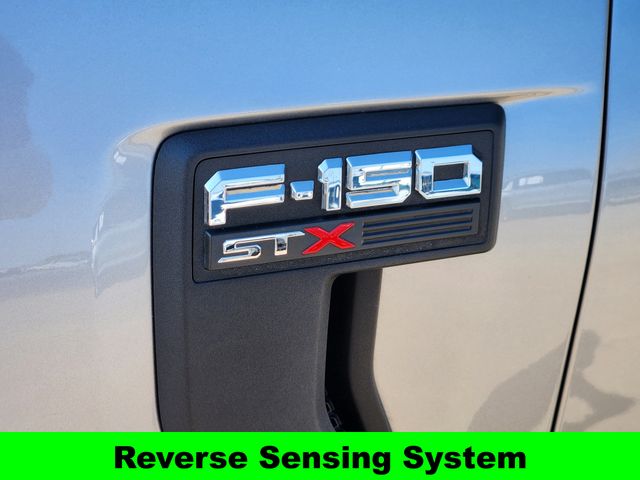 2021 Ford F-150 XL photo 10