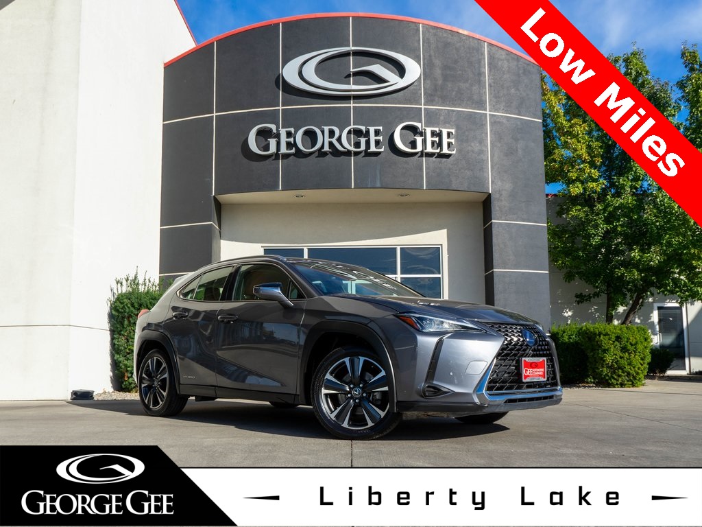 2021 Lexus UX Hybrid 250h's photo