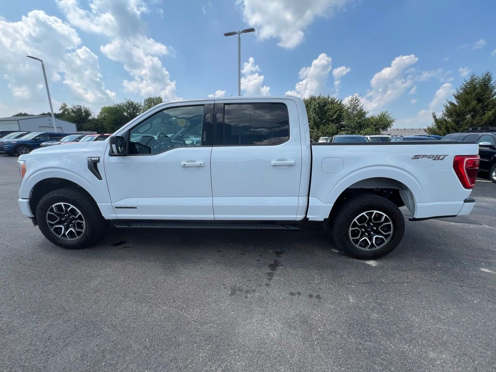 2023 Ford F-150 XLT photo 12