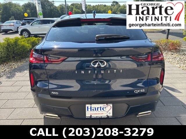 2025 Infiniti QX55 Luxe photo 6