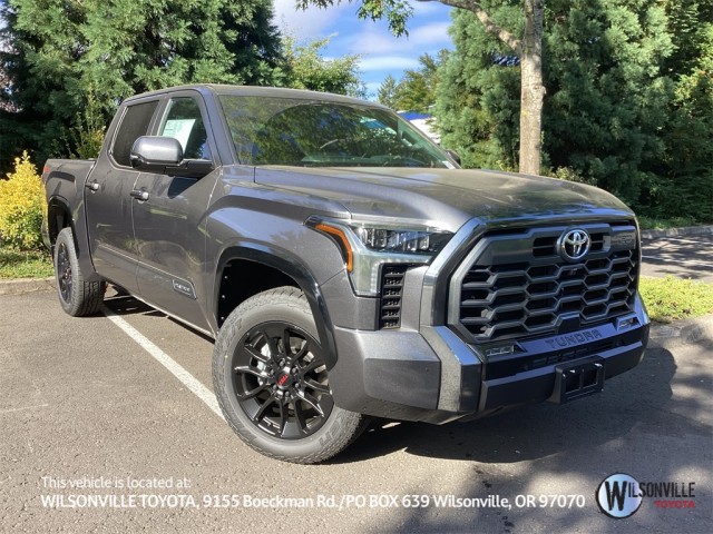 2025 Toyota Tundra Platinum
