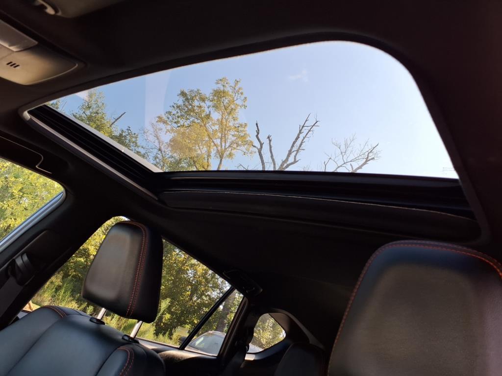 2017 Toyota RAV4 SE photo 6