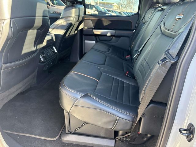 2023 Ford F-150 Platinum photo 10